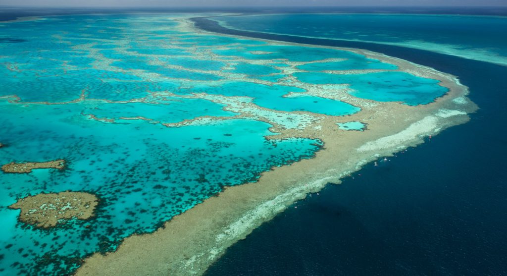 How the Great Barrier Reef Supports Biodiversity and Healthy Oceans ...